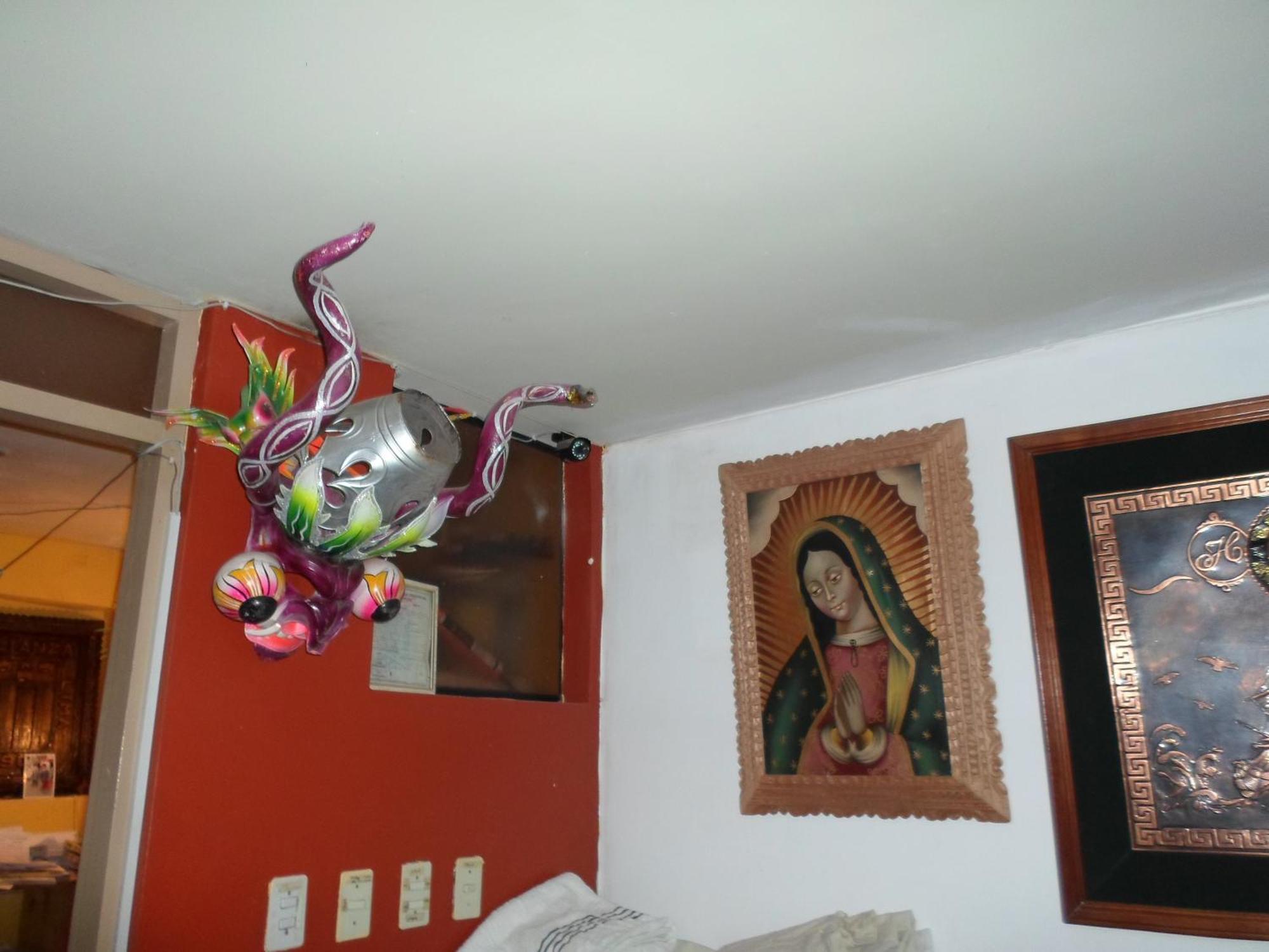 Hostal Joya Andina プーノ エクステリア 写真